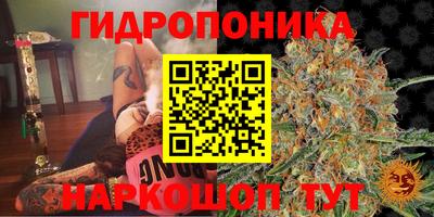 трава Славгород