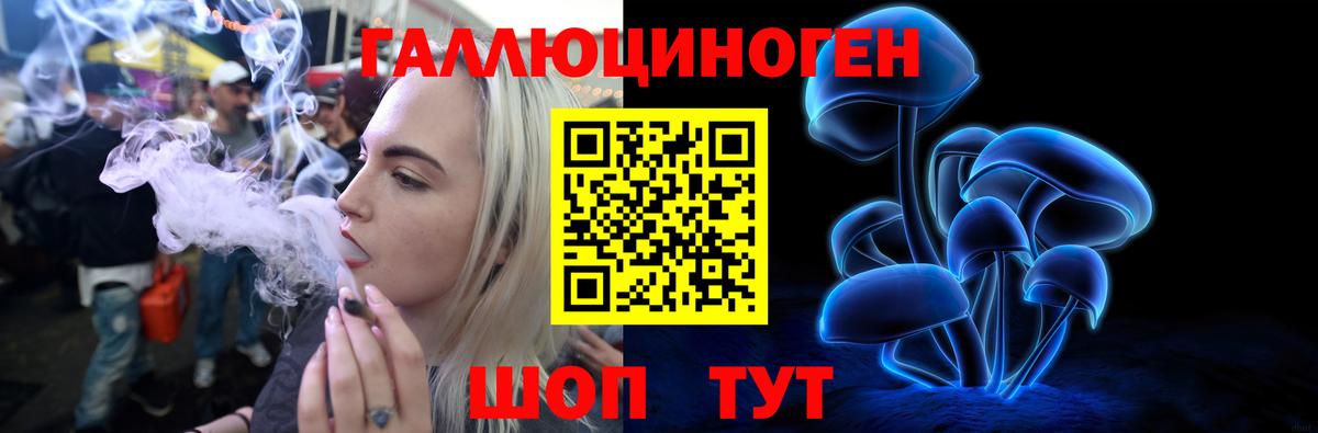 Галлюциногенные грибы Magic Shrooms  где продают   Нарткала  Вход с VPN 